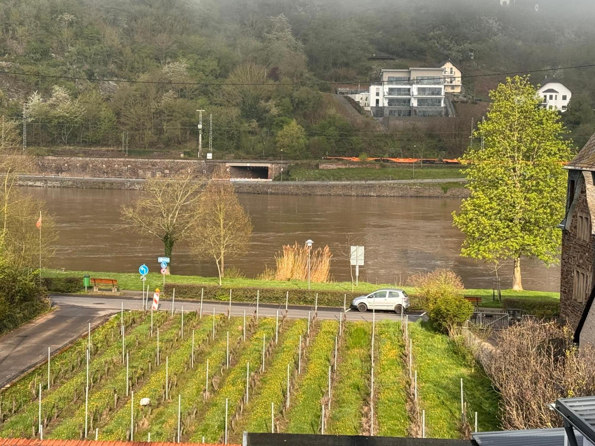 Hakans Moselblick Ferienwohnung Treis-Karden Exterior foto